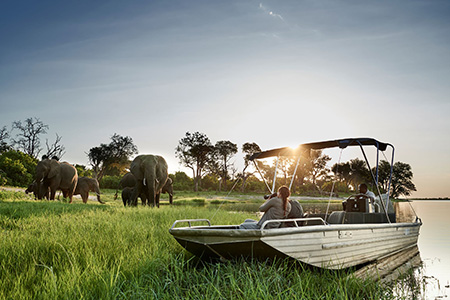 Elephants along chobe river Botswana Safari Holiday