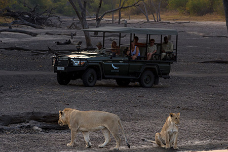 Lions along Savute channel Safari Holiday Destination 
