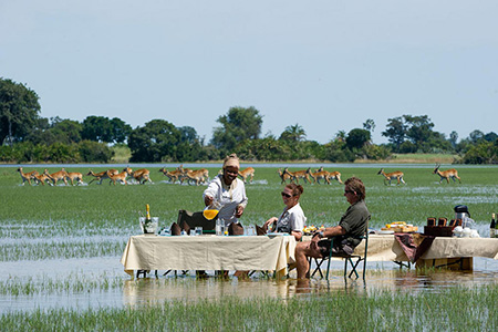 delta brunch jao camp