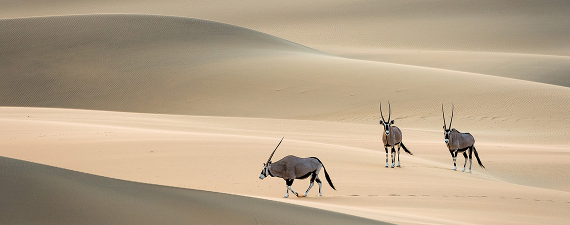 Sand Dunes on Kaokoland reserve Safari Holiday