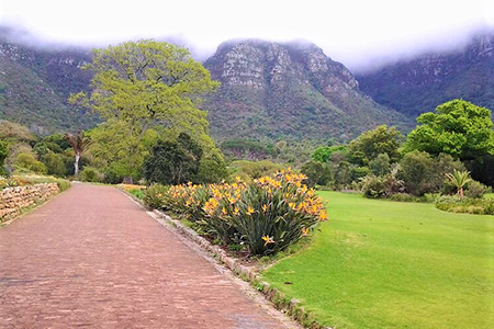 cape town scenery safari holiday destination