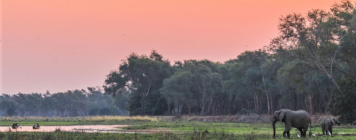lower zambezi national park