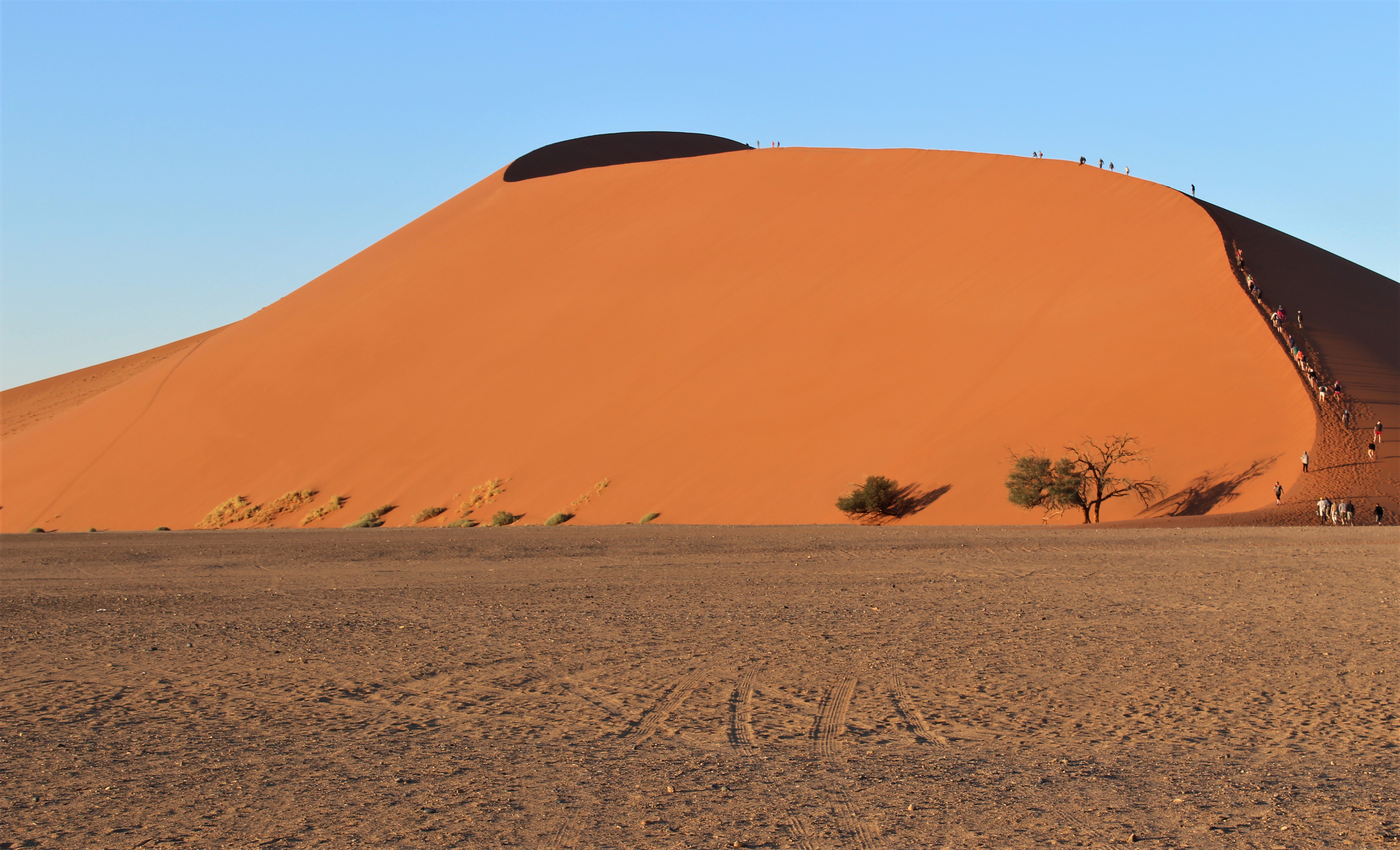 Sand Dune on Namibia Safari Holiday