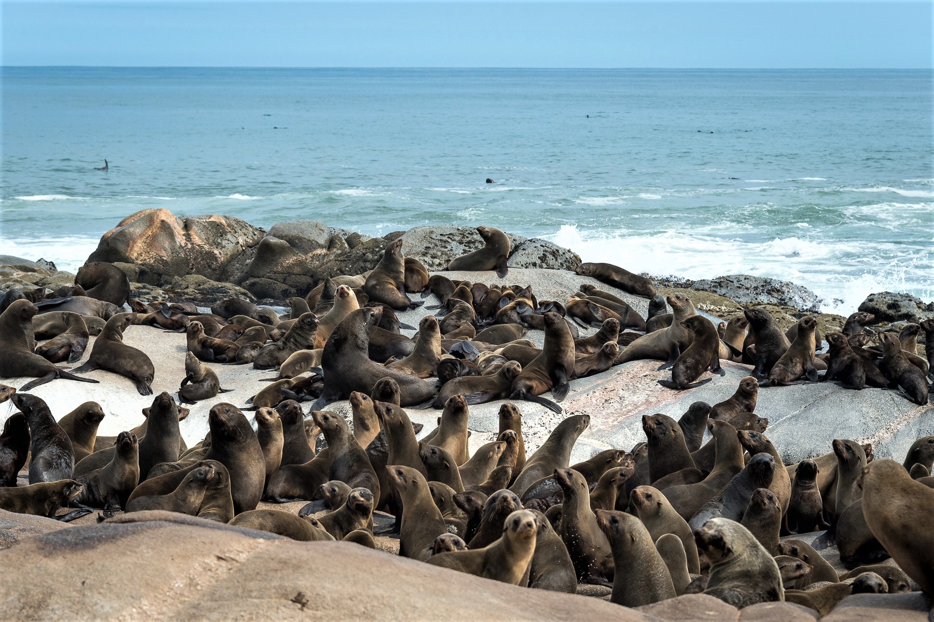 Skeleton Coast Safari Holiday