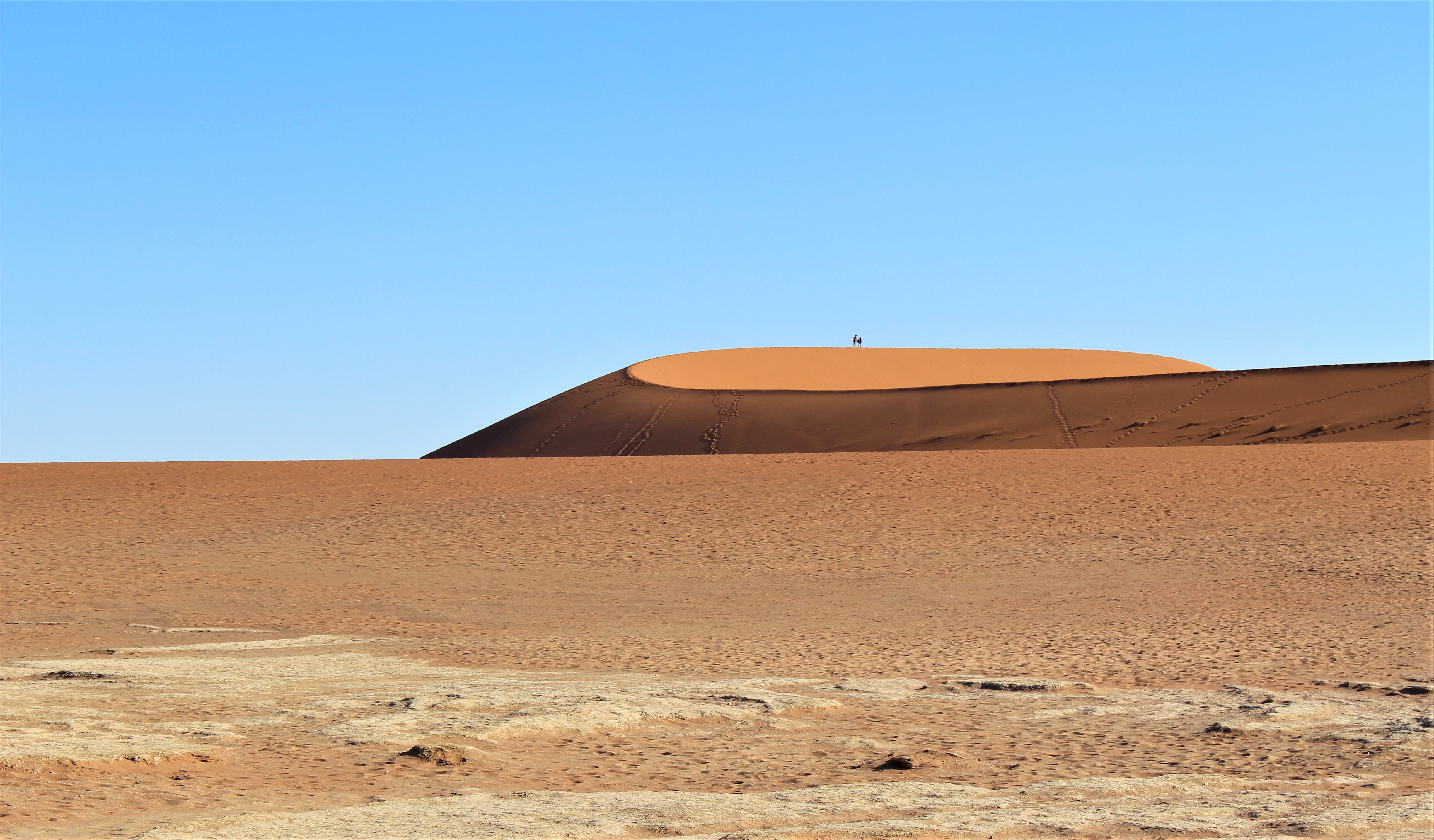 sand dunes of Namibia Desert Safari