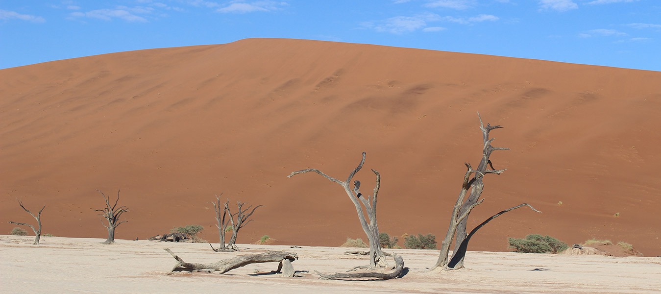 slide2-dead-vlei